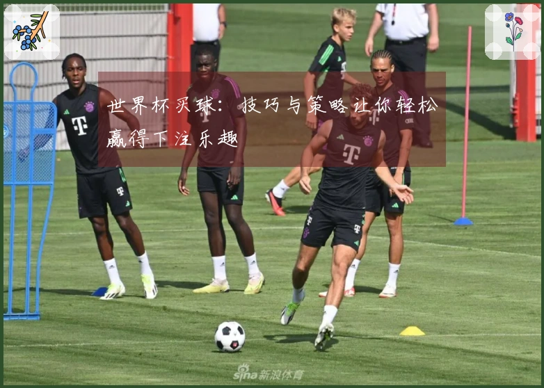 世界杯买球：技巧与策略让你轻松赢得下注乐趣