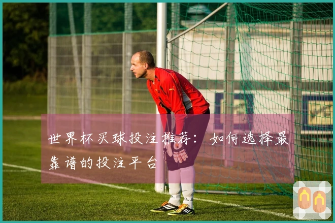 世界杯买球投注推荐：如何选择最靠谱的投注平台