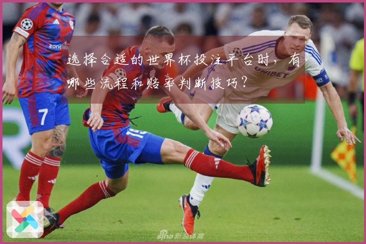 选择合适的世界杯投注平台时，有哪些流程和赔率判断技巧？