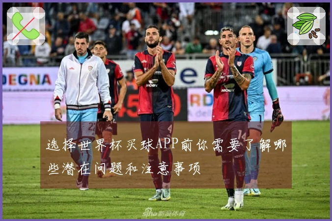 选择世界杯买球APP前你需要了解哪些潜在问题和注意事项