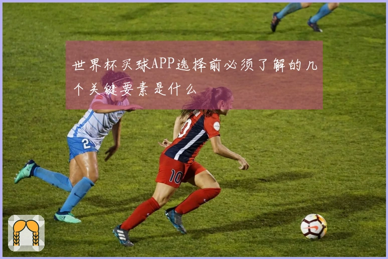 世界杯买球APP选择前必须了解的几个关键要素是什么