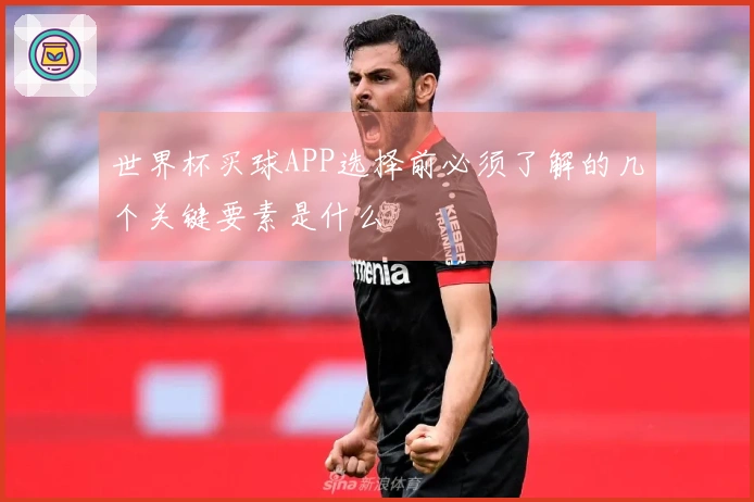 世界杯买球APP选择前必须了解的几个关键要素是什么