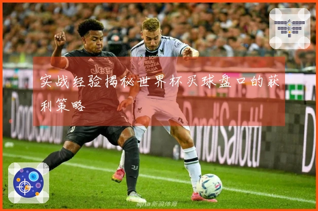 实战经验揭秘世界杯买球盘口的获利策略